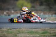DSC_4537