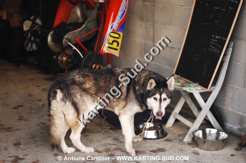 DSC_0033.JPG