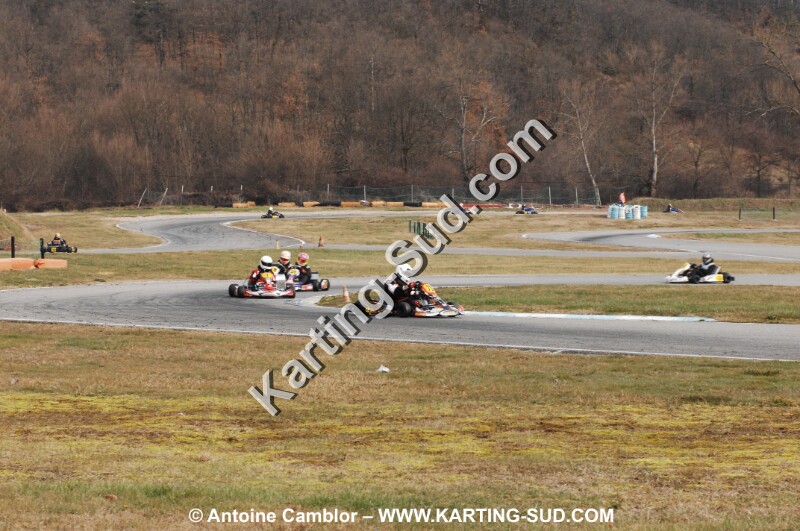 DSC_0223.JPG