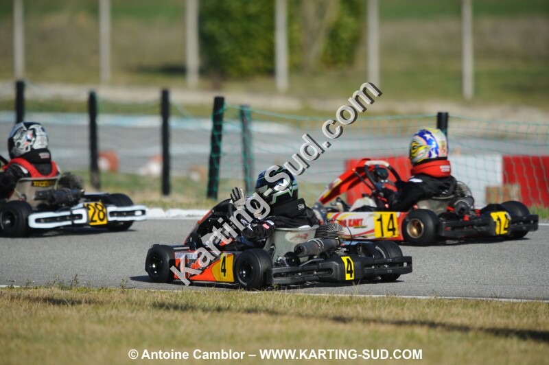DSC_0230.JPG