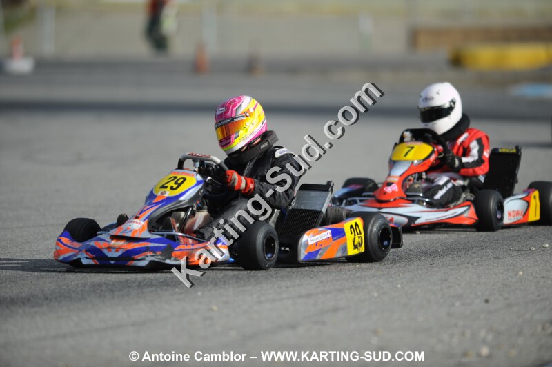 DSC_1896.JPG