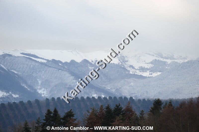 DSC_8889.JPG