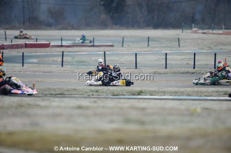 DSC_0442.JPG