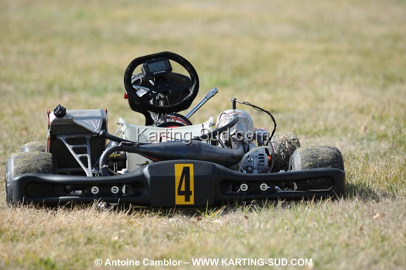 DSC_1518.JPG
