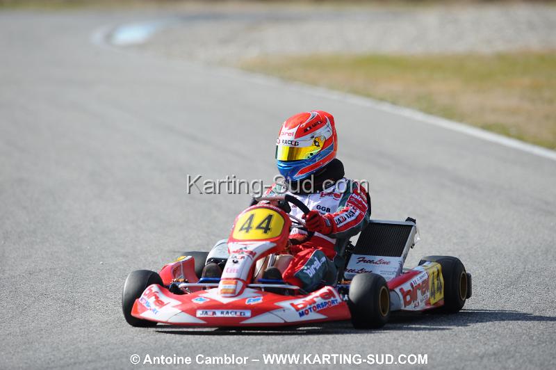 DSC_1519.JPG