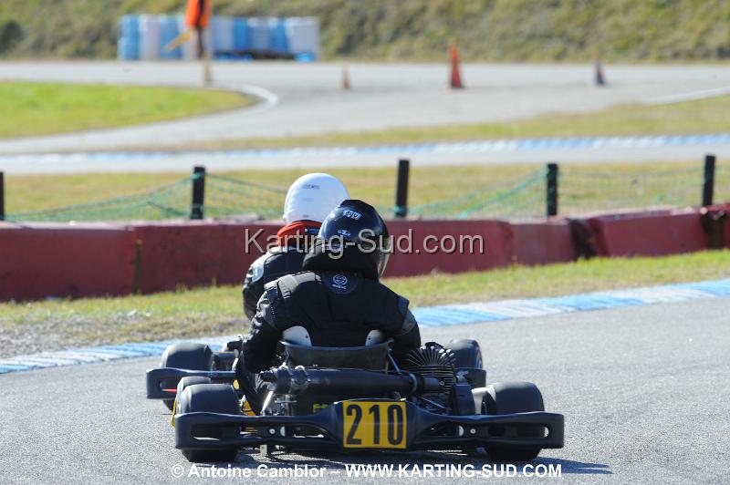 DSC_1650.JPG