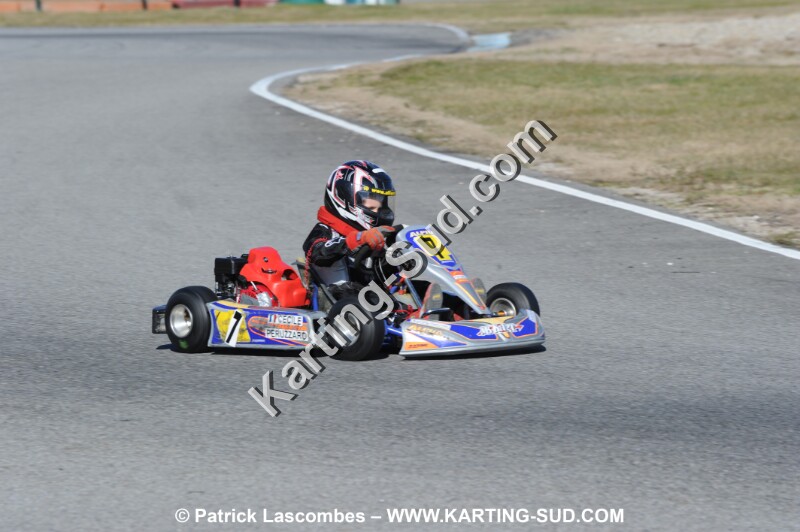 DSC_0516.JPG