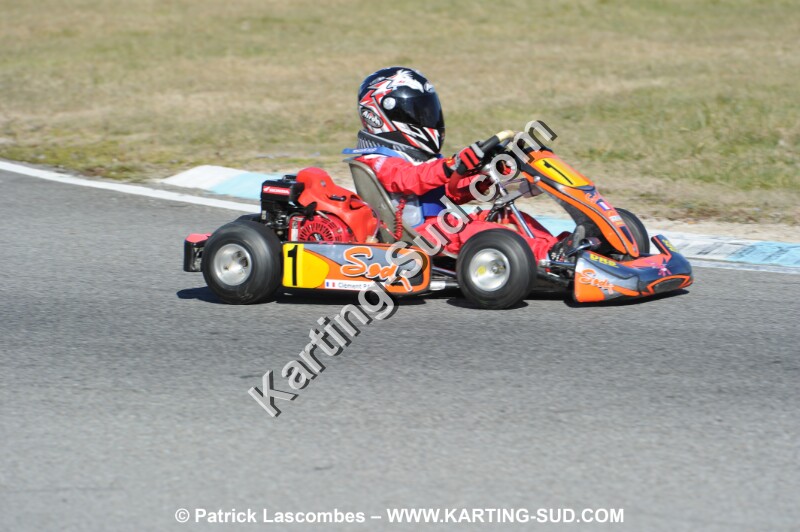 DSC_0524.JPG