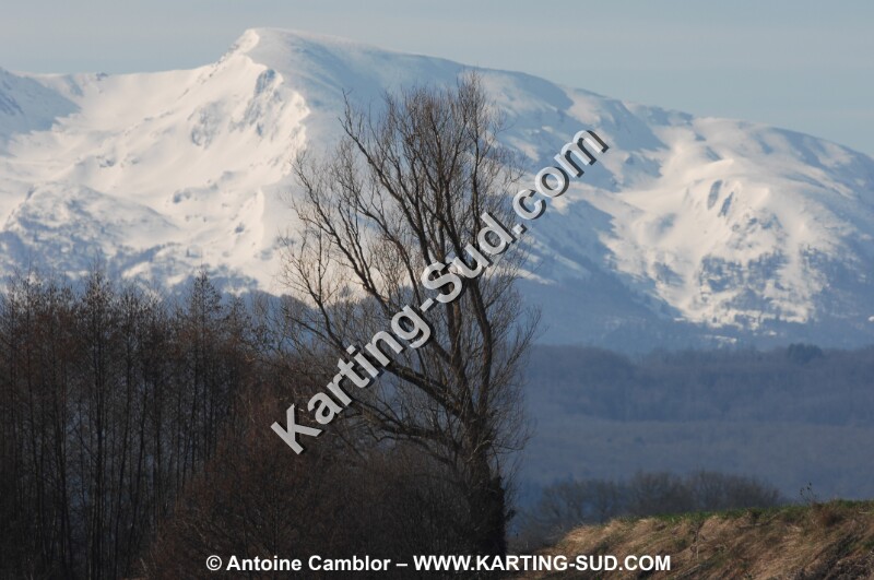 DSC_0784.JPG