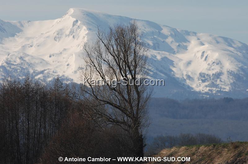 DSC_0784.JPG