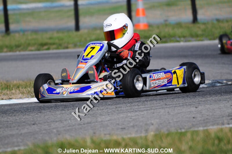 DSC_7336.jpg