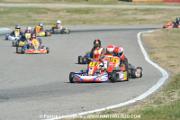 DSC_4484