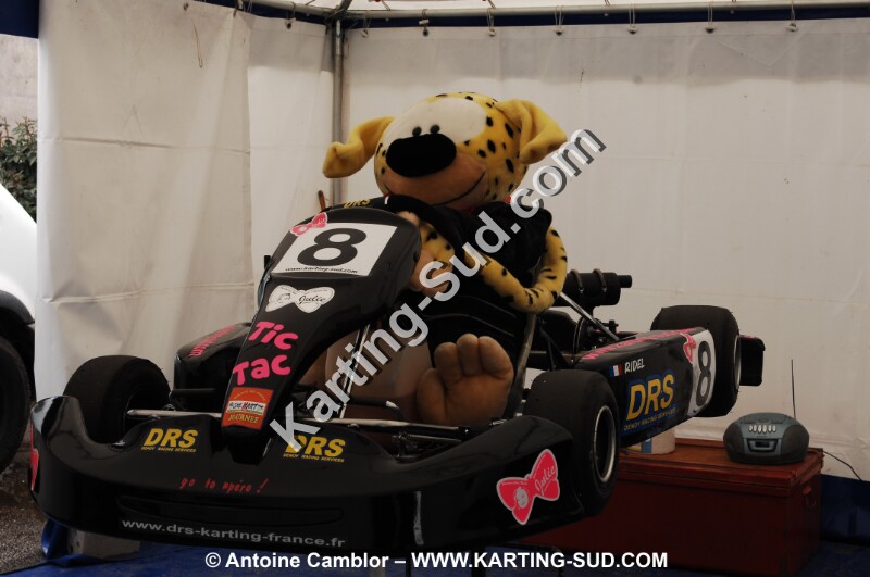 DSC_0133.JPG