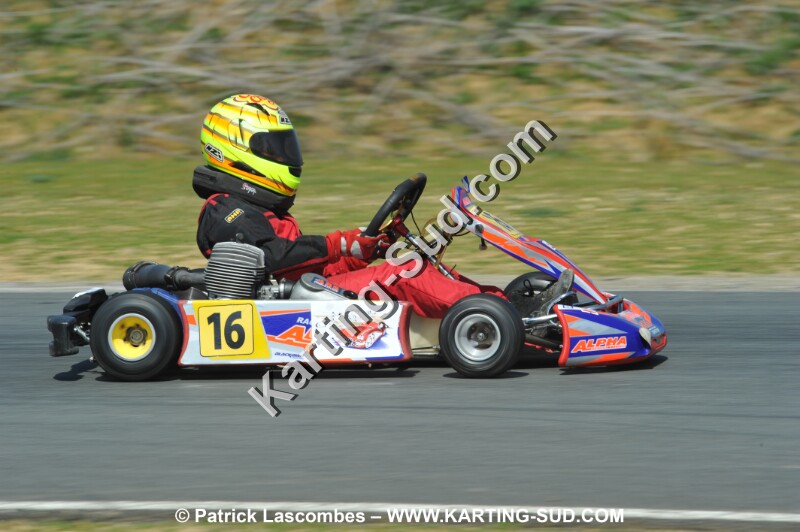 DSC_4442.JPG