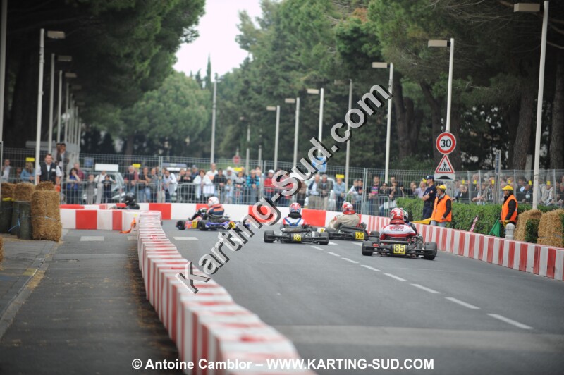 DSC_2011.JPG