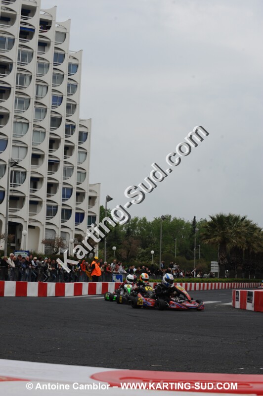 DSC_2330.JPG