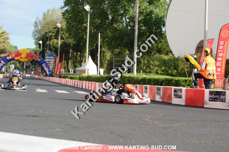 DSC_3100.JPG