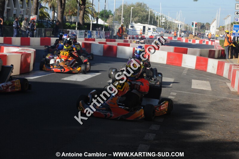 DSC_3336.JPG