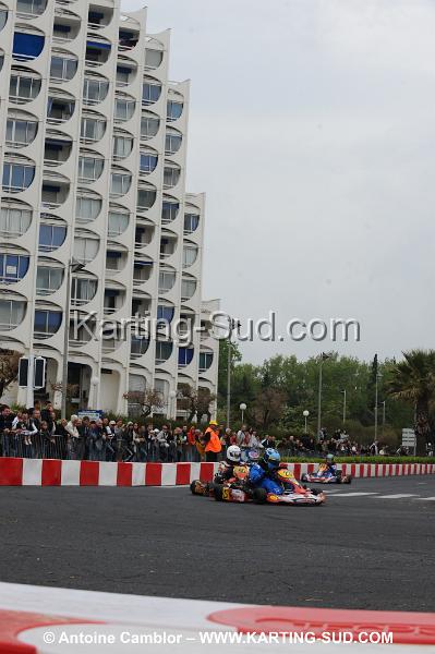 DSC_2331.JPG