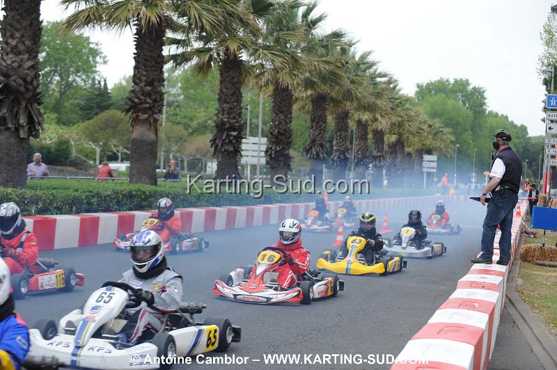 DSC_2501.JPG