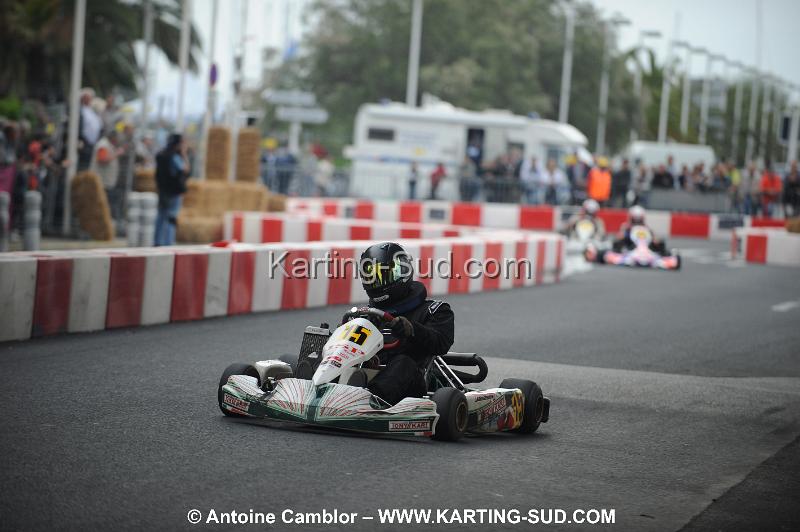 DSC_2610.JPG