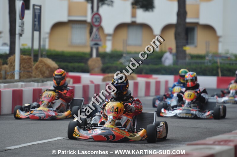 DSC_7684.JPG