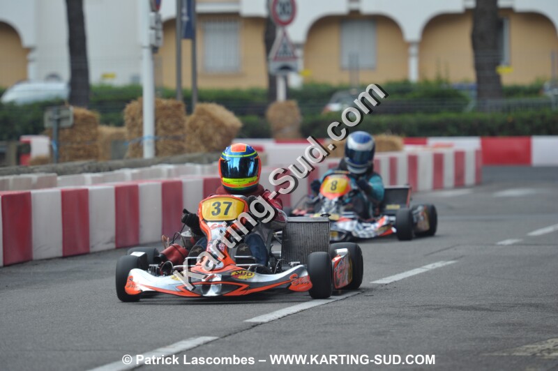 DSC_7704.JPG