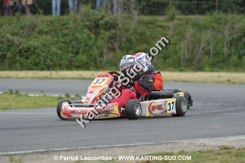 DSC_1250.JPG