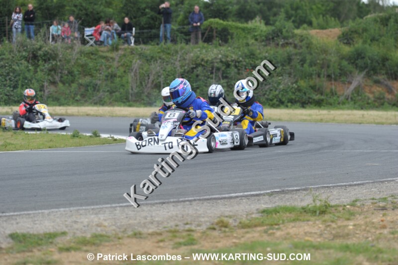 DSC_1353.JPG