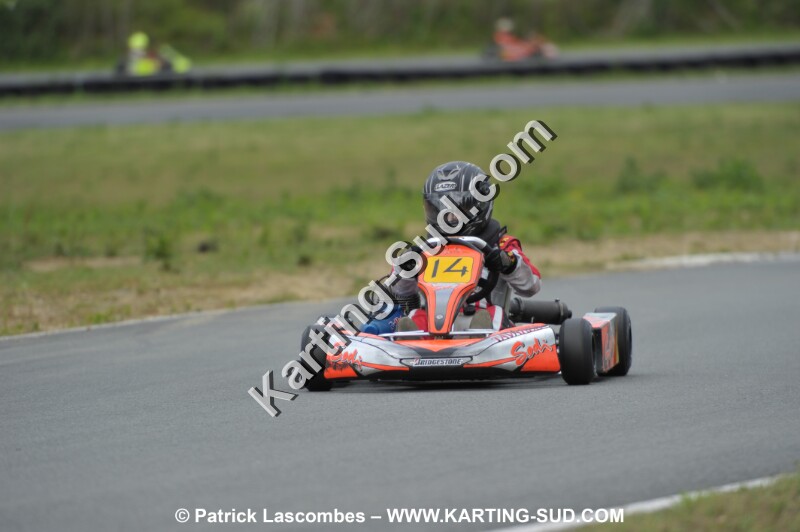 DSC_2012.JPG