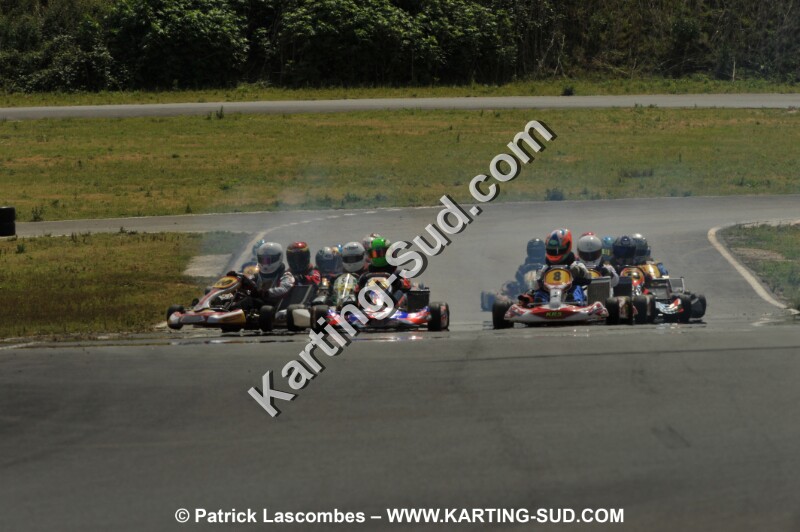 DSC_8652.JPG