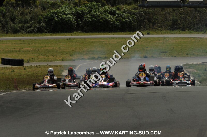DSC_8653.JPG