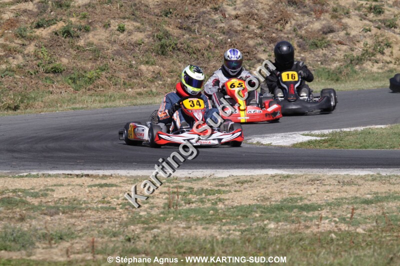 IMG_3515.JPG