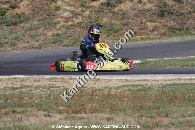 IMG_3731.JPG