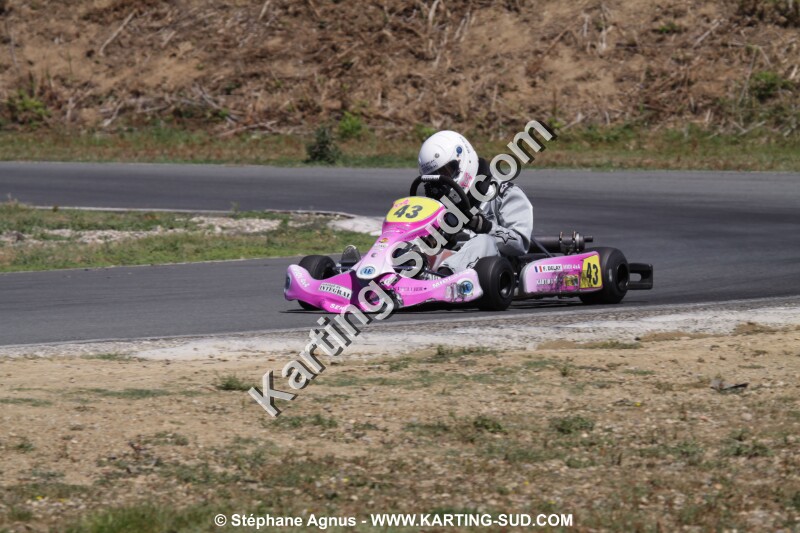 IMG_4431.JPG
