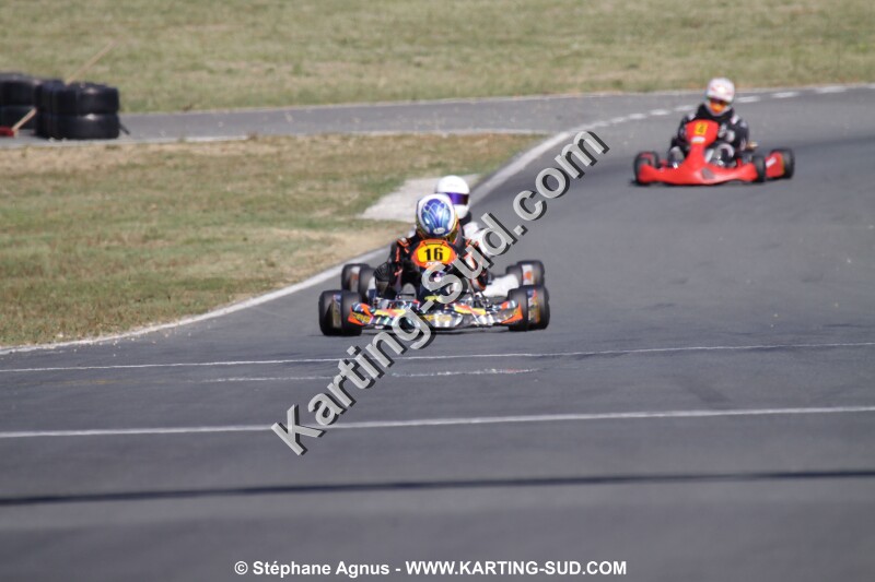 IMG_5251.JPG