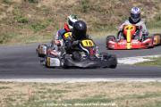 IMG_3448