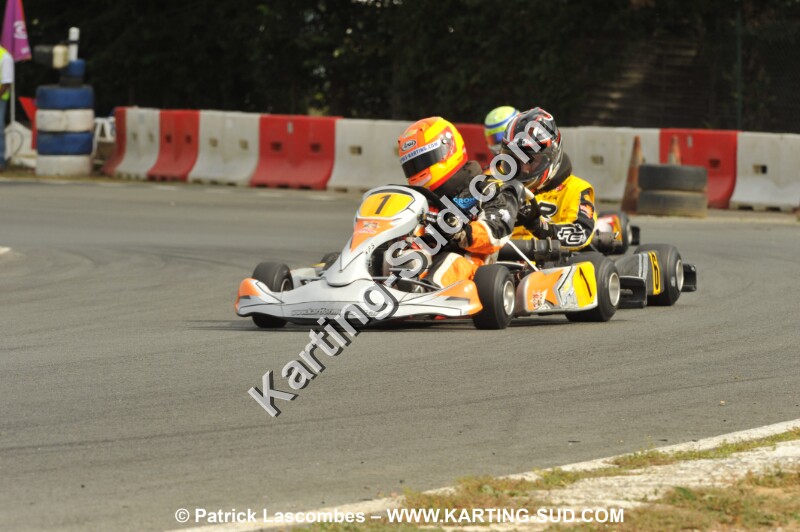 DSC_1175.JPG