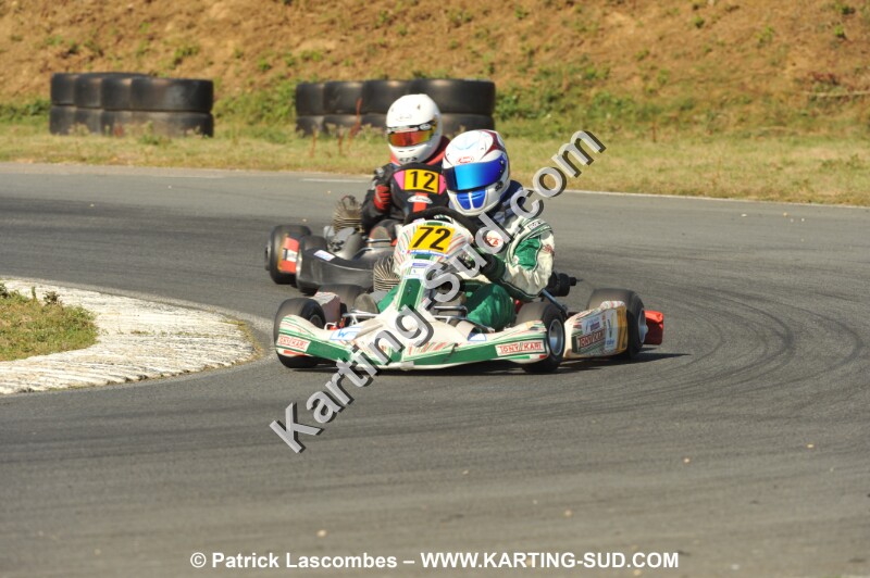 DSC_1311.JPG