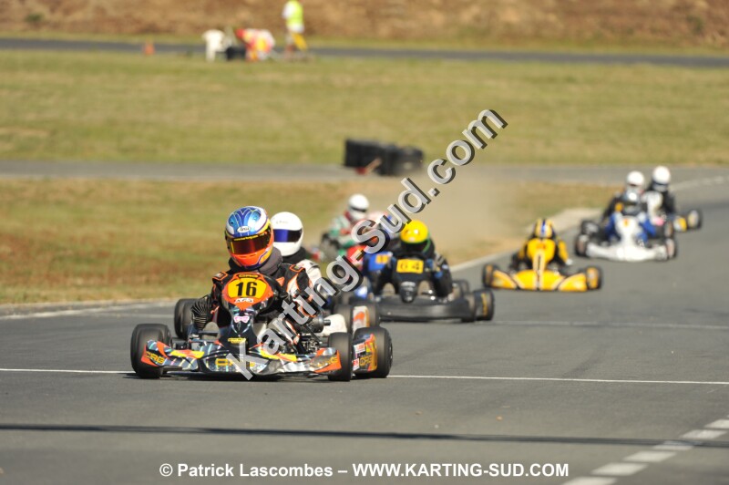 DSC_1517.JPG