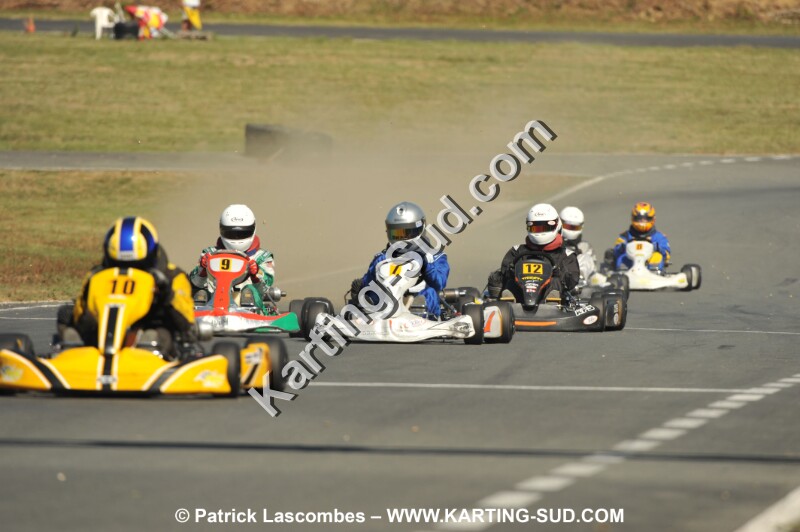DSC_1519.JPG