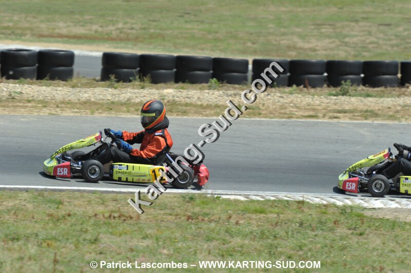 DSC_6337.JPG