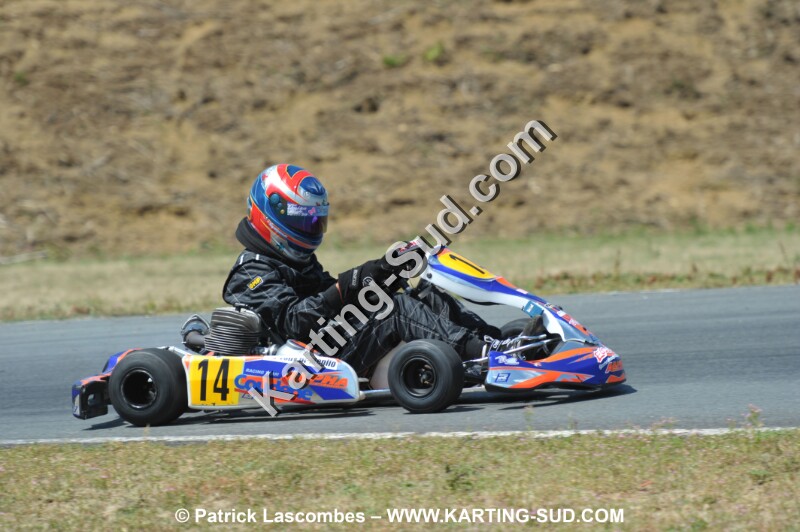 DSC_6558.JPG