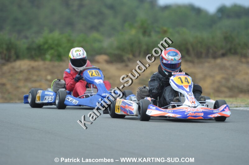 DSC_7809.JPG