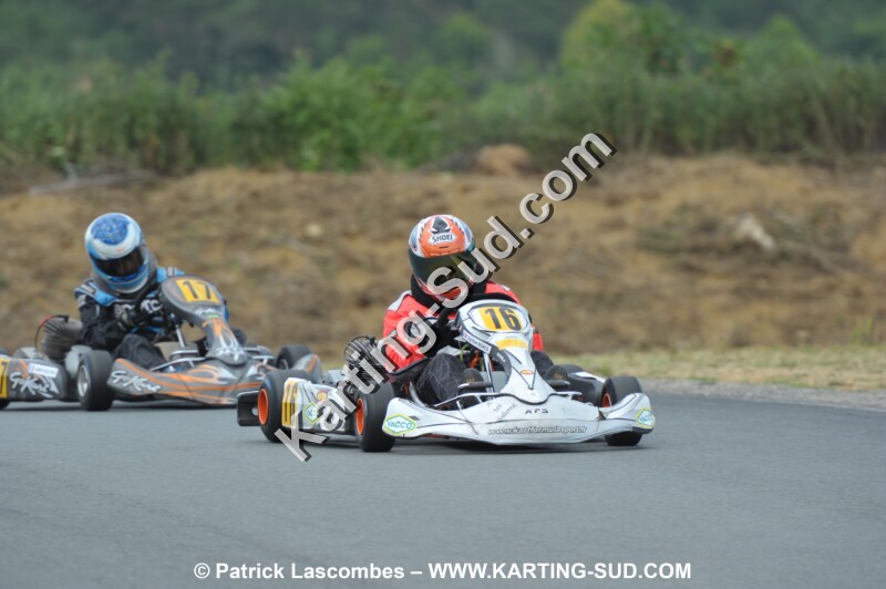 DSC_7815.JPG