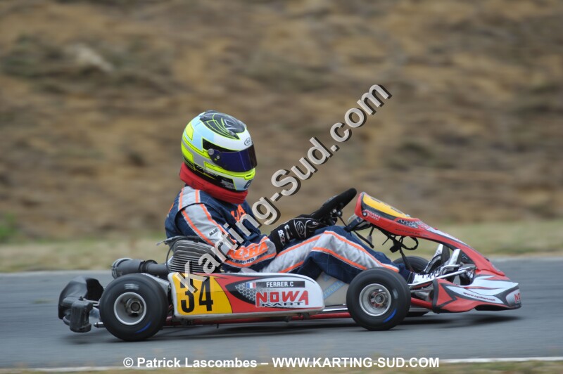 DSC_7946.JPG
