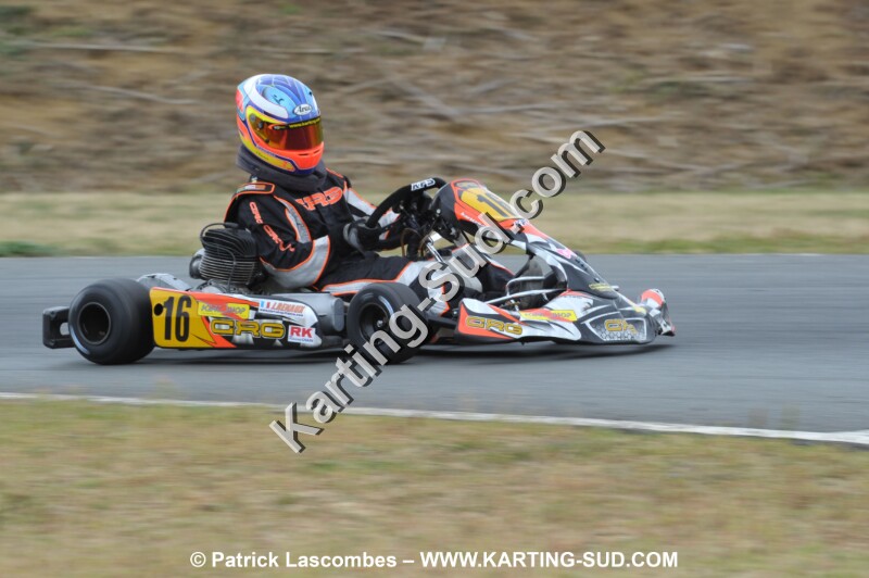 DSC_8144.JPG