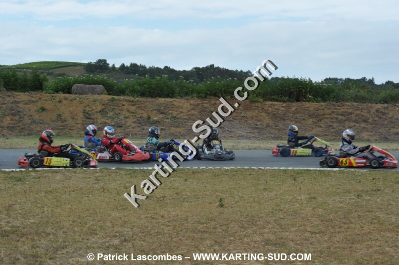 DSC_8228.JPG