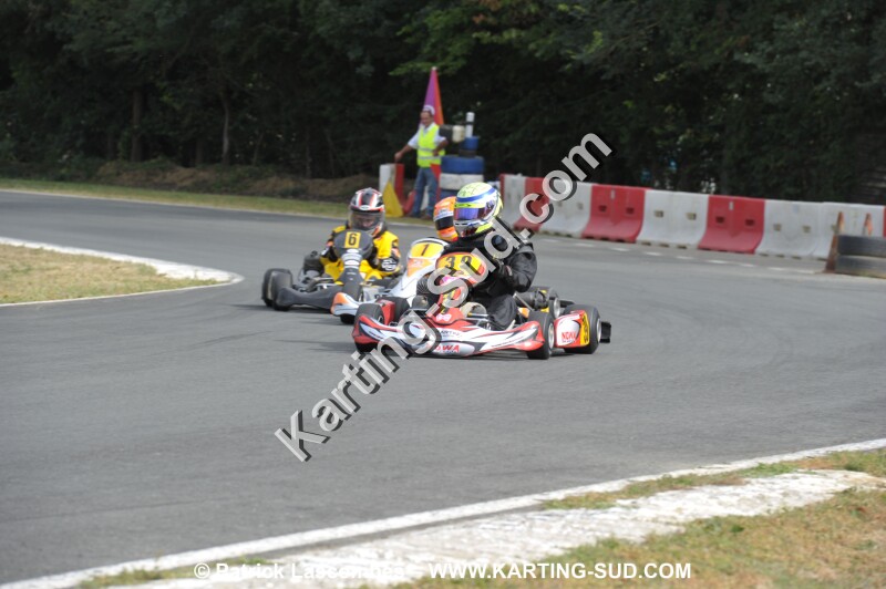 DSC_8311.JPG