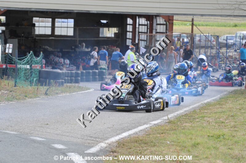 DSC_8335.JPG